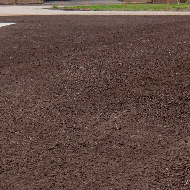 Final Grade and Landscaping