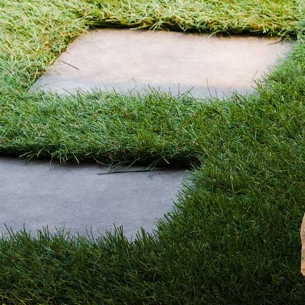 Low Maintenance Landscape Design