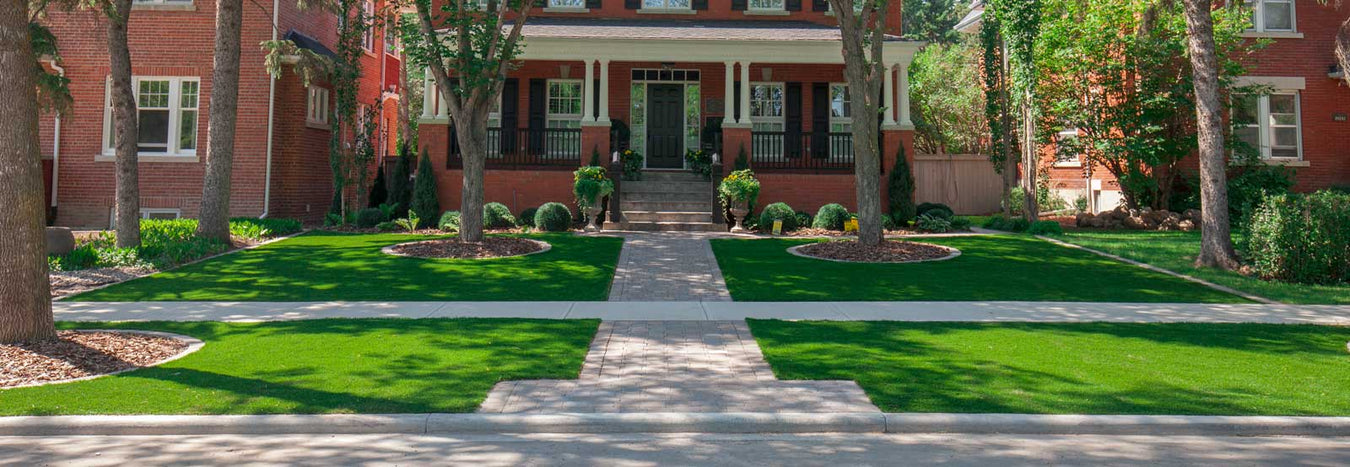 Artificial Turf