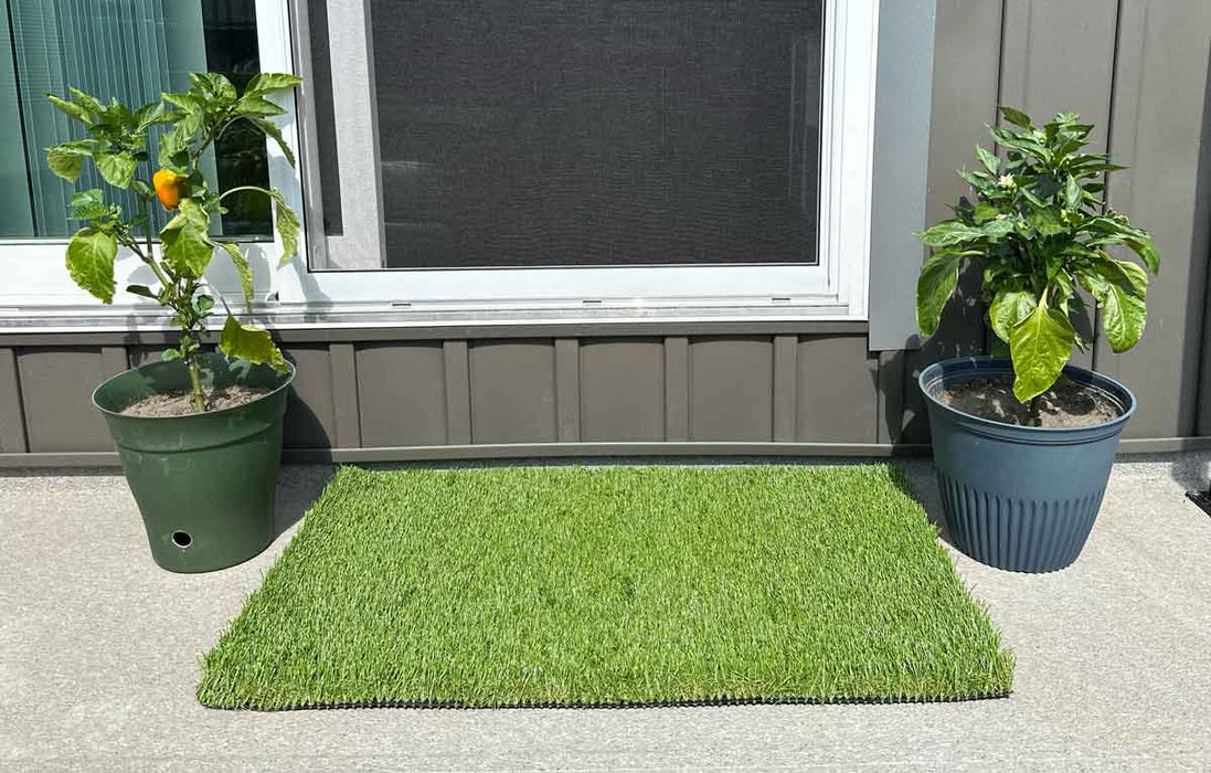 Artificial Turf Indoor/Outdoor Mat