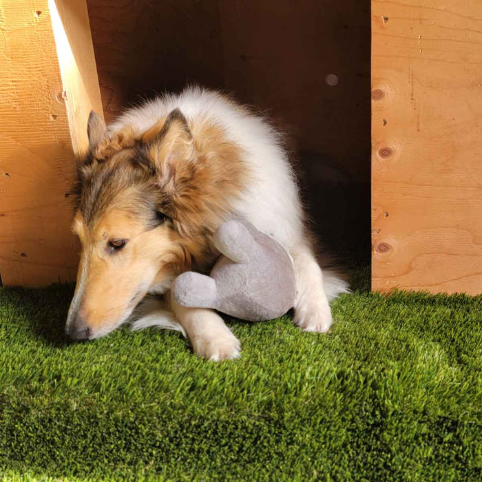 Premium Synthetic Turf Mat for Dogs