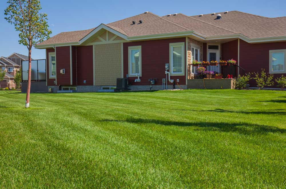 Park Premium Plus - Lawn Care Package