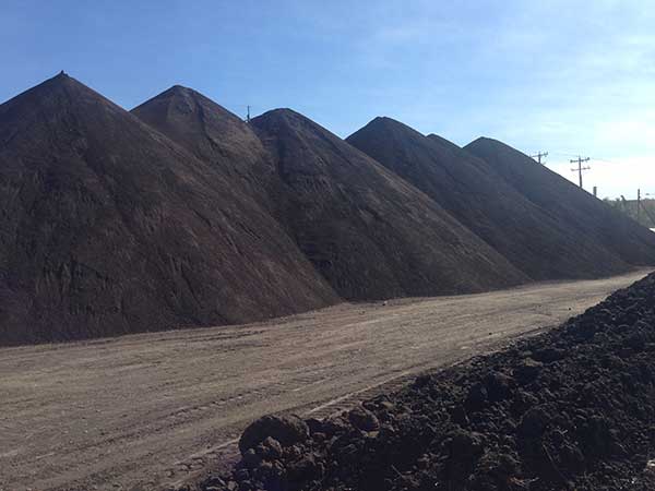 Screened Topsoil